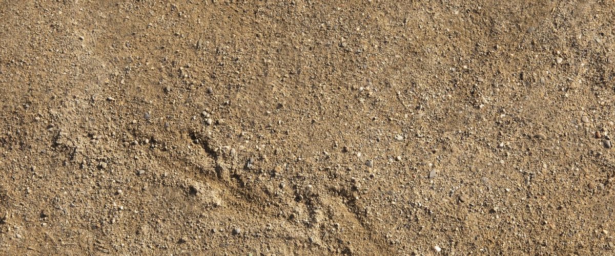 قیمت خاک رس
