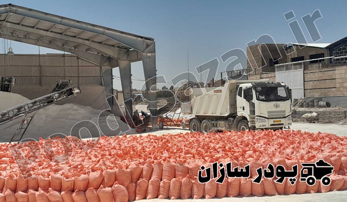 کربنات کلسیم دامی